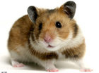 Test les 2